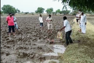 सांगली जिल्ह्यात अवकाळी पावसाची हजेरी