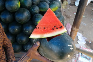 Nuh Ramzan Watermelon