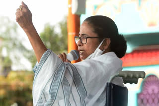CM Mamata Banerjee casts her vote in Kolkata