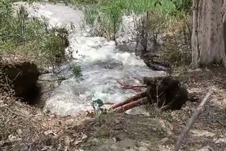 Rani Avantibai Canal erupted again