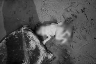 unidentified baby dead body at river