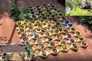 The people of Udupi who cultivate the terrace