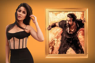 Katrina Kaif's film with Vijay Sethupathi