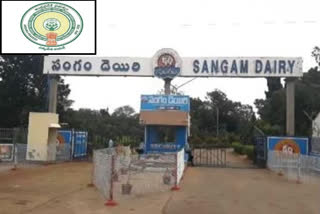 ap sangam dairy