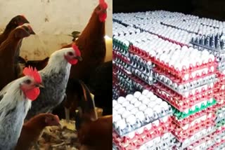 poultry-business-is-badly-affected-due-to-lockdown