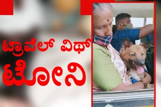 A woman travel with dog  to native from bangalore