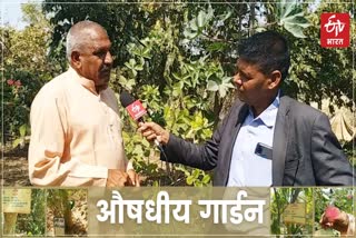 Unique collection of medicinal plants, भीलवाड़ा में नवग्रह आश्रम