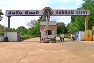 sangam dairy