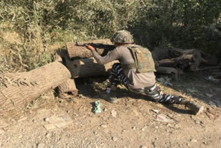 Two Naxals killed in encounter in Maharashtra  Nagpur  Maharashtra  C-60 commandos  Gadchiroli Police  Naxals killed in Maharashtra  Encounter in Maharashtra  ಇಬ್ಬರು ನಕ್ಸಲರನ್ನು ಹೊಡೆದುರುಳಿಸಿದ ಭದ್ರತಾ ಪಡೆ  ಗಡ್ಚಿರೊಲಿಯಲ್ಲಿ ಇಬ್ಬರು ನಕ್ಸಲರನ್ನು ಹೊಡೆದುರುಳಿಸಿದ ಭದ್ರತಾ ಪಡೆ  ಇಬ್ಬರು ನಕ್ಸಲರನ್ನು ಹೊಡೆದುರುಳಿಸಿದ ಭದ್ರತಾ ಪಡೆ ಸುದ್ದಿ,