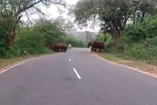 தருமபுரி