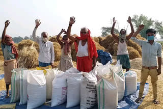 wheat procurement in patna