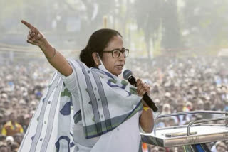 all india trinamool congress questions election commission