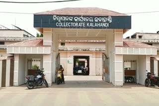 202 new corona case identified in kalahandi in one day