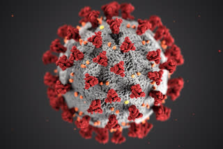 کورونا وائرس: جموں و کشمیر میں 3023 نئے کیسز، 30 اموات