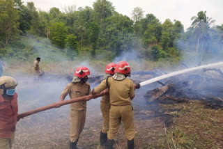 Fire breaks out at Munderi seed farm  മുണ്ടേരി വിത്ത് കൃഷിത്തോട്ടത്തിൽ തീ പിടിത്തം  കൃഷിത്തോട്ടത്തിൽ മരങ്ങൾക്ക് തീപിടിച്ചു