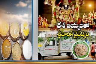 prasadam in tirumala temple