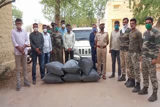 Doda poppy in Jodhpur, Doda poppy smuggling in Jodhpur
