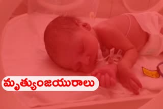 23-day-old child wins battle with Corona