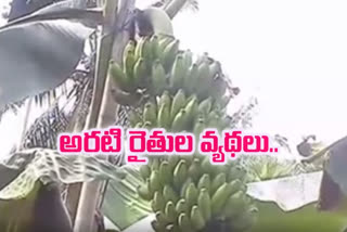 banana farmers in losses due to covid