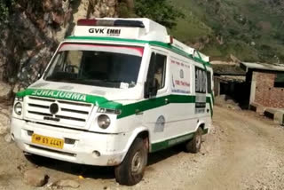 Corona patients in himachal