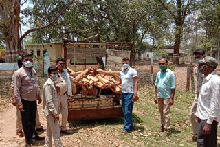 Teak wood seized