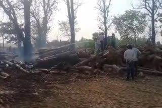 Khatima Timber caught fire