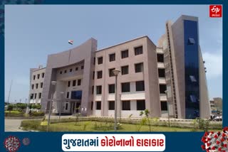 ડાંગ જિલ્લામાં કોરોનાના નવા 14 કેસ નોંધાયા