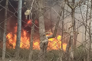 fire in nursery