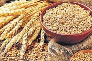 Centre to distribute free foodgrains to 80 cr poor under PMGKAY