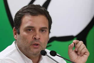 rahul gandhi, congress leader