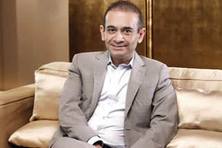 Nirav Modi