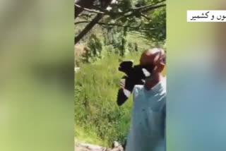 Mendhar: Man Beating Bird Video Goes Viral