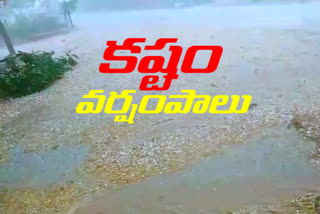 crop damaged for heavy rains in nizamabad district