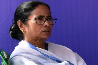 mamata banerjee