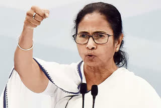 Mamata Banerjee