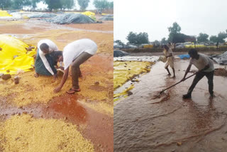 Premature rain in nirmal district