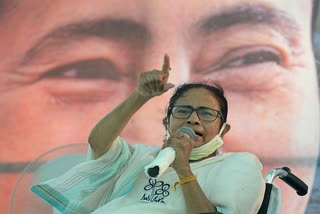 CM Mamata Banerjee