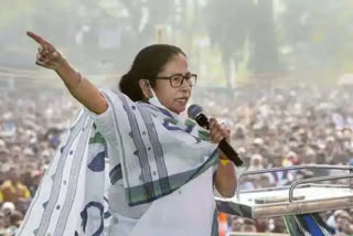 Most exit polls fail to gauge TMC's victory margin; forecasts on TN, Assam largely as predicted