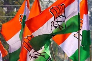 Rajasthan Congress News,  Rajasthan by-election results