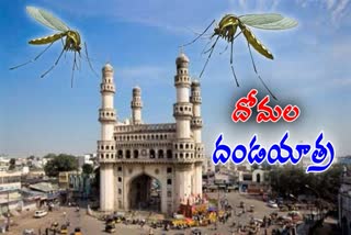 Hyderabad