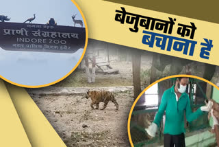 indore zoo authority