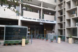 student file a petition in haryana punjab High Court to free the Corona vaccine