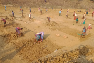 Highest employment given to MNREGA amid lockdown