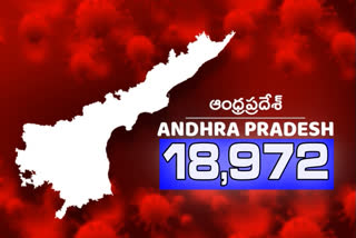 కరోనా వైరస్