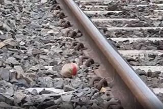 a-bomb-was-recovered-from-the-railway-line-in-dattapukur