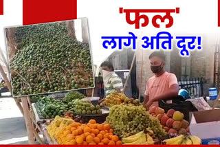 shortage of orange in jodhpur,  mausambi prices in jodhpur