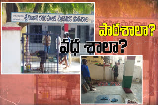 meat selling at school in ap