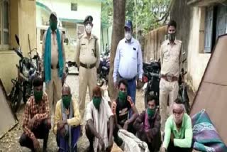 6-accused-of-hunting-Wild boar-arrested-in-mahasamund