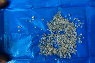 2 smugglers arrested in gariyaband with diamond worth 50 lakhs