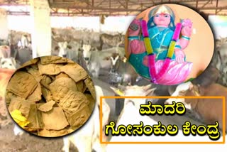 wonderful-initiative-to-develop-the-base-of-cow-dung-as-an-industry